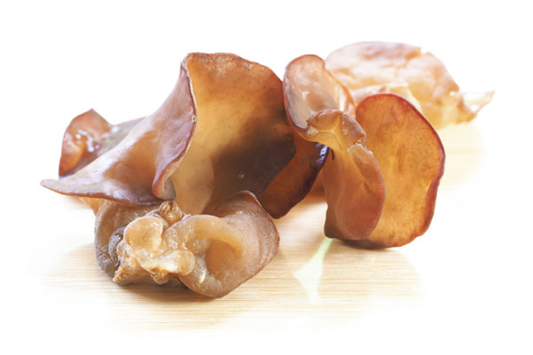 Oyster Mushroom - image