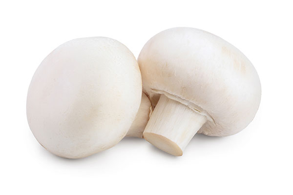 White Mushrooms - image